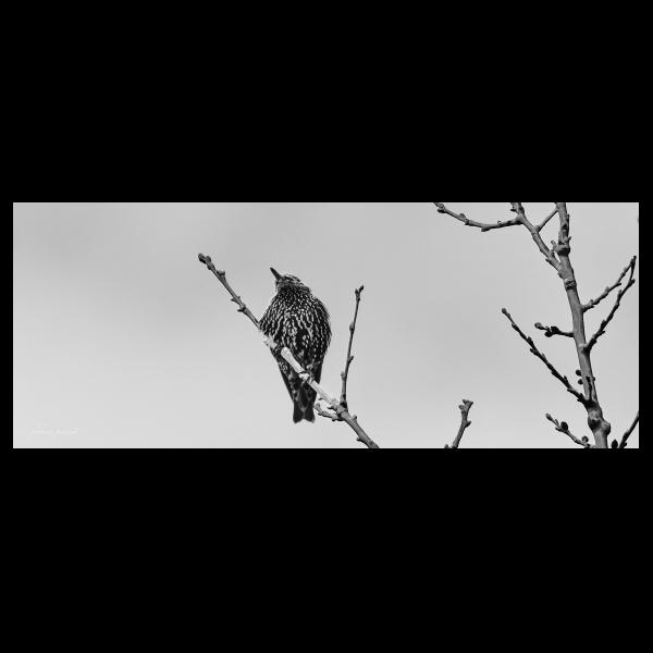 PHOTO84, CLUB, 84 , LUBERON